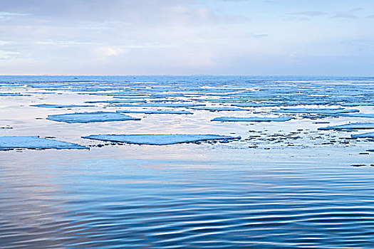 冬天,海边风景,大,漂浮,冰,碎片,安静,寒冷,水,海湾,芬兰,俄罗斯
