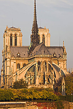 法国,巴黎,巴黎圣母院,大教堂,拱扶垛,早晨