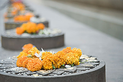 花,圆形,石头,比哈尔邦,印度