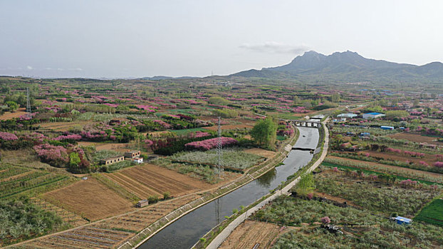 山东省日照市,暮春四月的美丽乡村,如一幅幅生态画卷