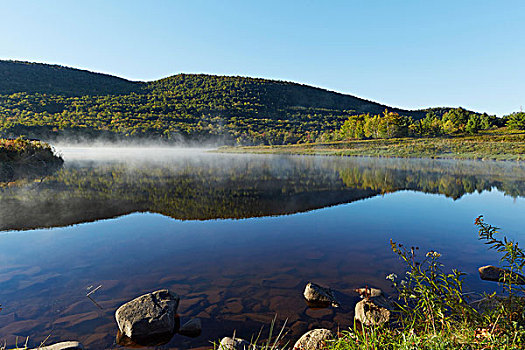 风景,湖,野外,树林,公园,纽约,美国