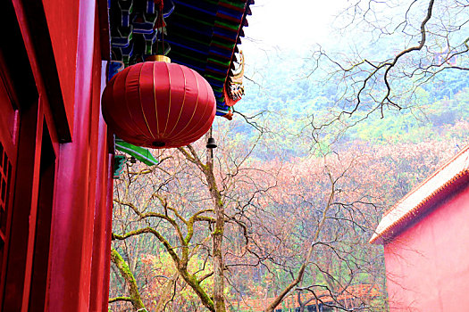 广西全州千年古刹湘山寺,古寺古树风雨相伴