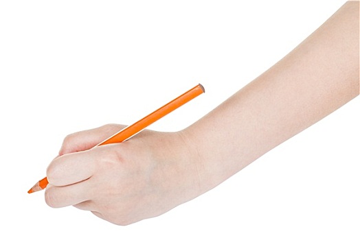 手,橙色,铅笔,隔绝,白色背景