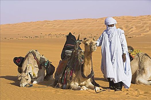 柏柏尔人,人,骆驼,利比亚