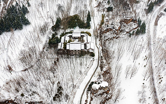 河南三门峡,国家湿地公园雪后美景如画