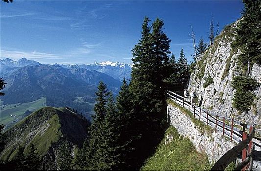 顶峰,山峦,瑞士,欧洲