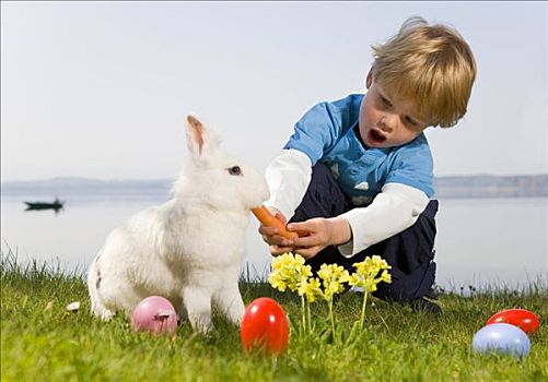 男孩,喂食,兔子,胡萝卜,复活节彩蛋
