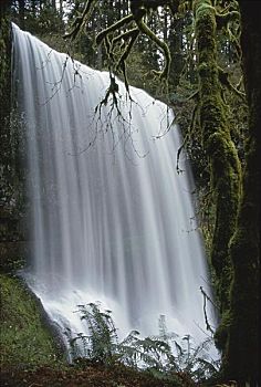 银色瀑布州立公园,俄勒冈,美国