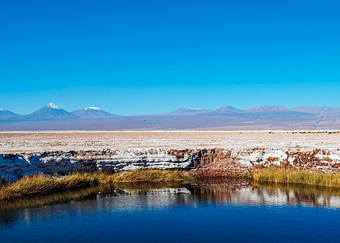 盐湖,泻湖,阿塔卡马沙漠,佩特罗,安托法加斯塔大区,智利,南美