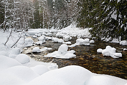 美国,华盛顿,贝克山-斯诺夸尔米国家森林公园,南,河,初雪
