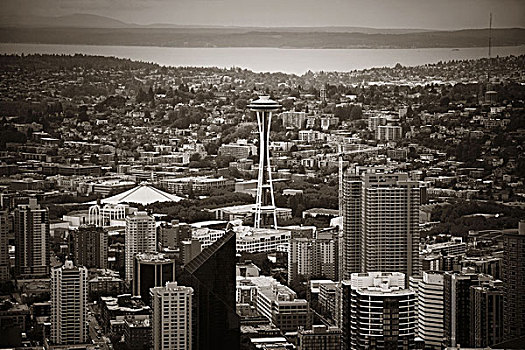 西雅图,屋顶,全景