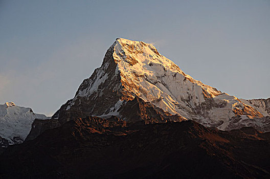 尼泊尔,安纳普尔纳峰,山,南,日出