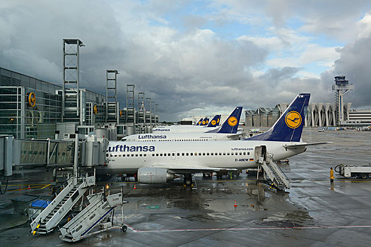 汉莎航空公司,飞机,航站楼,法兰克福,机场,黑森州,德国,欧洲