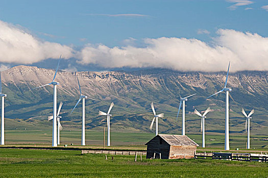 风电场,山峦,南方,艾伯塔省,加拿大