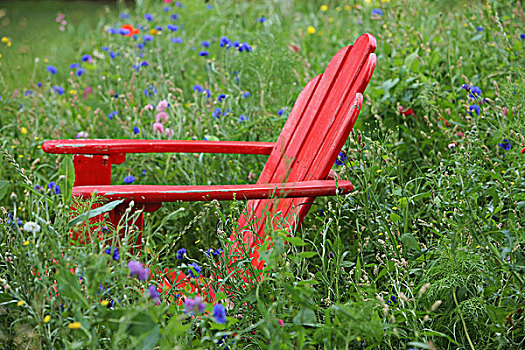 野花,围绕,红色,宽木躺椅,高草,俄勒冈,美国