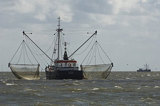虾,渔船,水上,弗里斯兰省,荷兰