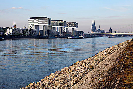 莱茵河,河,低水位,水平,科隆,北莱茵-威斯特伐利亚,德国,欧洲