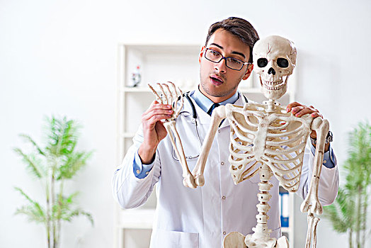 男医生,骨骼,隔绝,白色背景