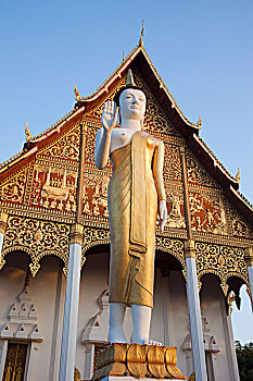 老挝,万象,塔銮寺,佛像,日出