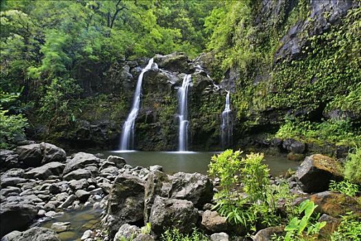 瀑布,三个,熊,途中,著名,旅游,道路,东海岸,毛伊岛,夏威夷,美国
