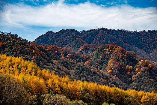 四川巴中光雾山