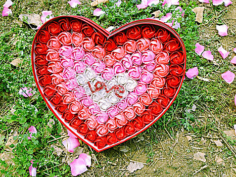 草地粉色花瓣和心形礼盒
