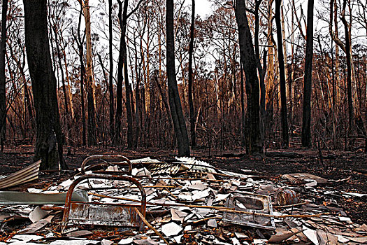 烧,地产,黑色,星期六,林区大火,2009年,维多利亚,澳大利亚