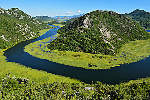 大湾,河,湖,国家公园,黑山,欧洲