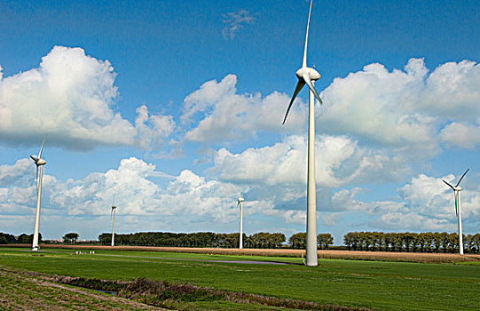 大,风,风车,能量,农田,户外,阿姆斯特丹,荷兰
