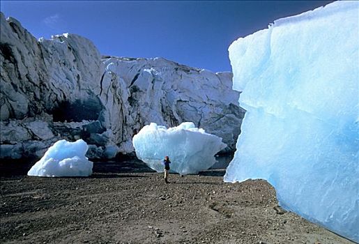 人,摄影,冰山,靠近,冰河湾国家公园,东南阿拉斯加,夏天