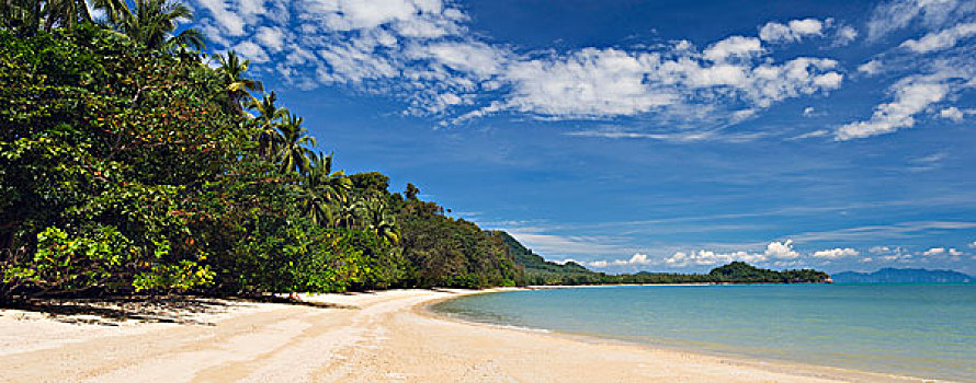 棕榈树,树,沙,海滩,苏梅岛,岛屿,攀牙,泰国,东南亚,亚洲