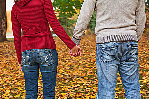 年轻,情侣,握手,站立,公园,艾伯塔省,加拿大