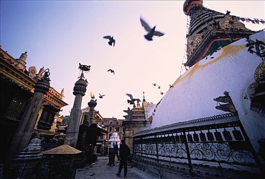 猴神庙,加德满都,尼泊尔