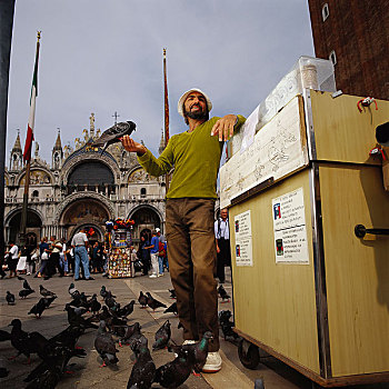 鸟,种子,摊贩,威尼斯,意大利