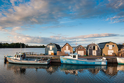 小,渔船,桥,港口,爱德华王子岛,加拿大,北美