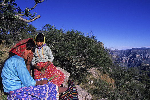 墨西哥,奇瓦瓦,国家公园,印第安,女孩,编织,松针,篮子