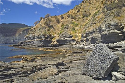 化石,悬崖,玛丽亚,岛屿,国家公园,塔斯马尼亚,澳大利亚