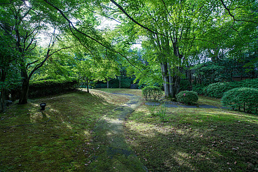 日本寺庙夏季传统园林景观