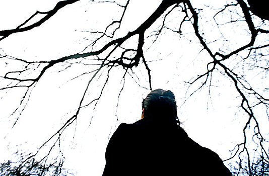 年轻,女人,枝条,树,伦敦,英国,2008年
