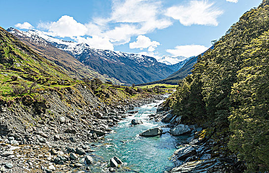 河,山谷,艾斯派林山国家公园,奥塔哥,南部地区,新西兰,大洋洲