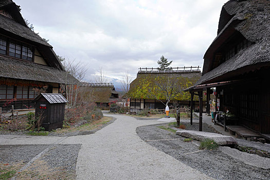 日本富士山河口湖里根场