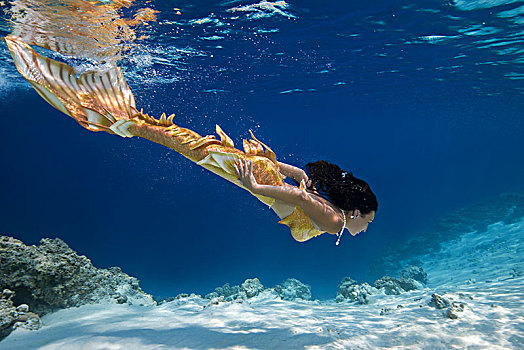美人鱼,水下,印度洋,马尔代夫,亚洲
