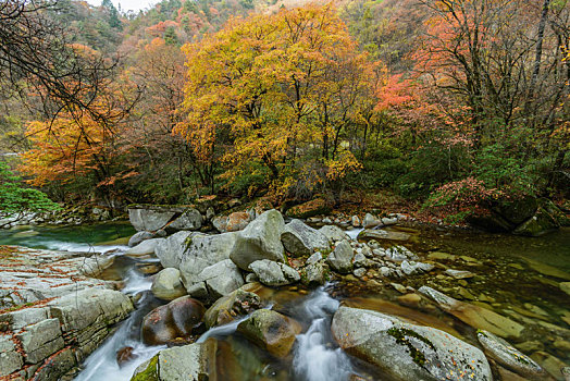 光雾山红叶