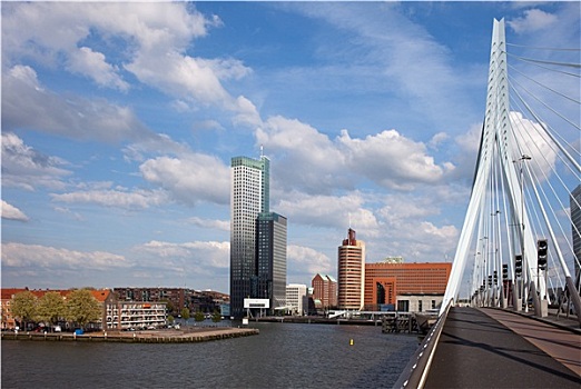 城市,鹿特丹,桥