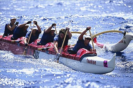 夏威夷,莫洛凯岛,瓦胡岛,水道,女人,划船,玻利尼西亚女人,比赛,无肖像权