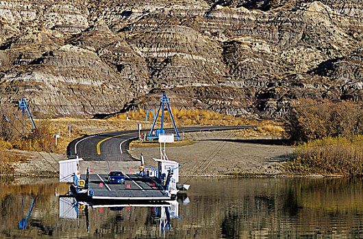 渡轮,运输,汽车,赤鹿,河,靠近,德兰赫勒,艾伯塔省,加拿大