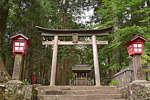 斑点,北方,出口,富士山,神祠,日本