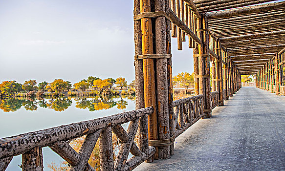 新疆,廊桥