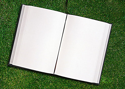 留白,翻开,书本