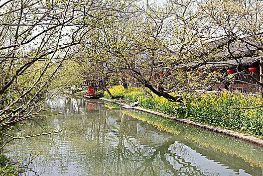 杭州西溪湿地河道